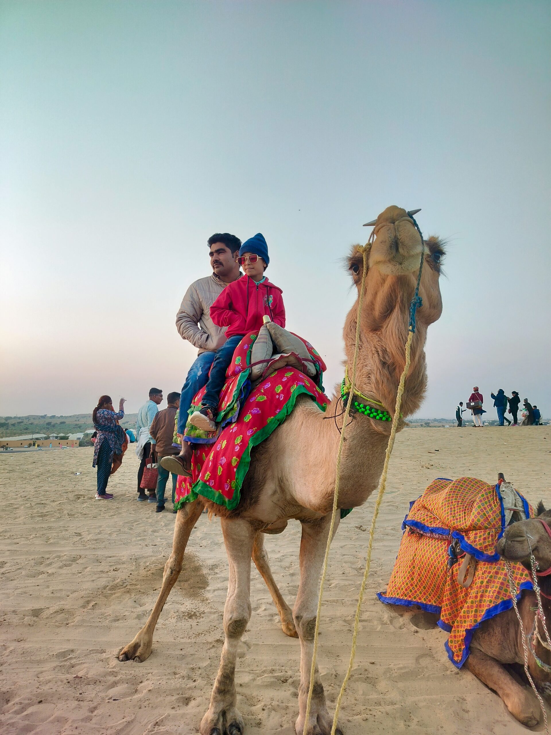 camel safari