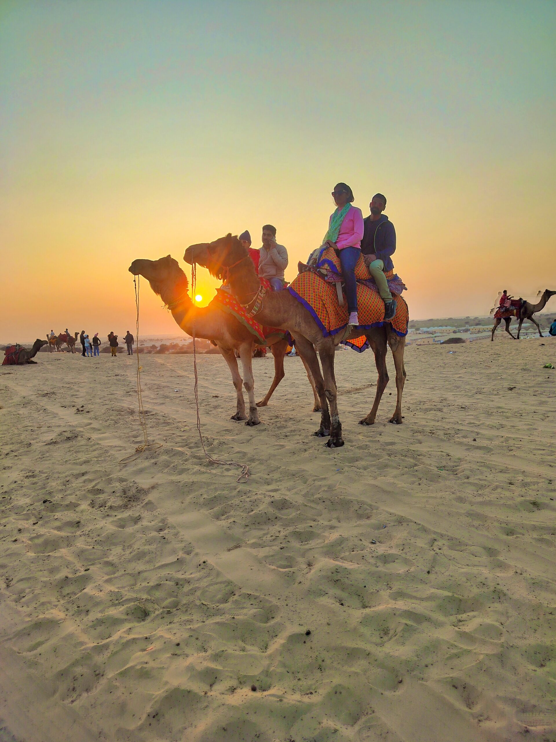camel safari